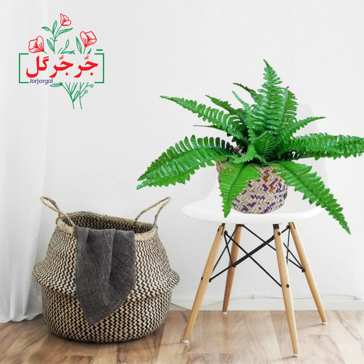 گل مصنوعی جُرجُرگل مدل بوته برگ سرخس 18 برگ