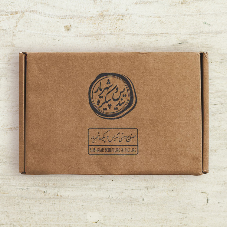 مجسمه تندیس و پیکره شهریار مدل سردیس محمد زکریای رازی کد M180-5