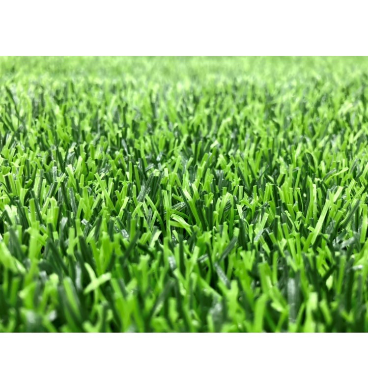 چمن مصنوعی دنیای چمن طرح آوانا مدل DB25 سایز 2x1 متر