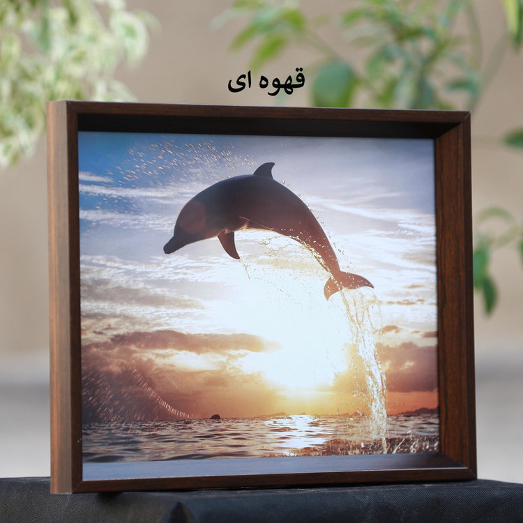 قاب عکس بکلیت مدل A3-40x30-208 مجموعه دو عددی