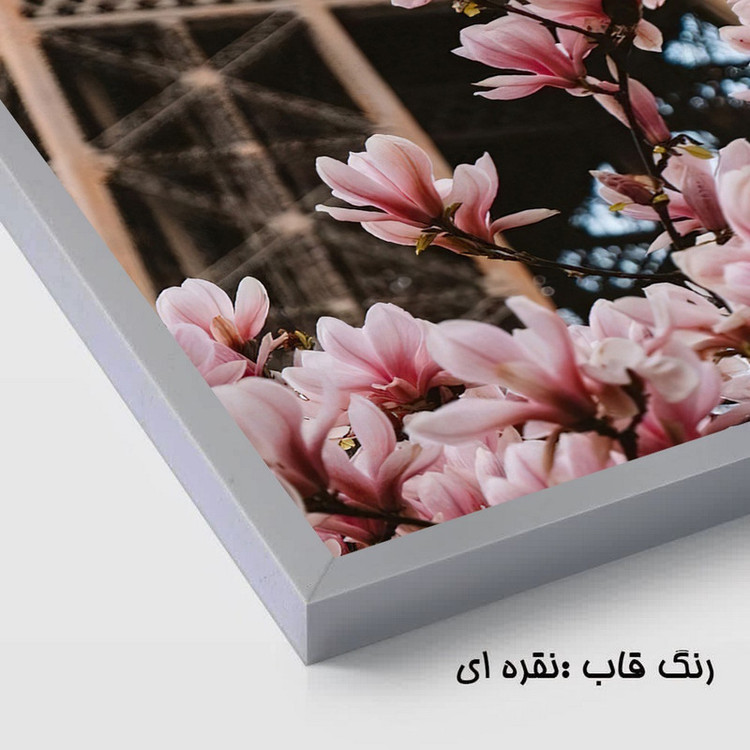 تابلو بکلیت طرح منظره برج ایفل و گل مدل SI-3911 فریم نقره ای مجموعه 3 عددی