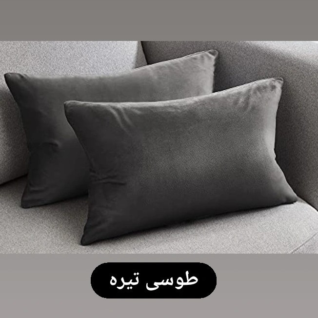 رو بالشتی ملولِی مدل مخمل بسته 2 عددی
