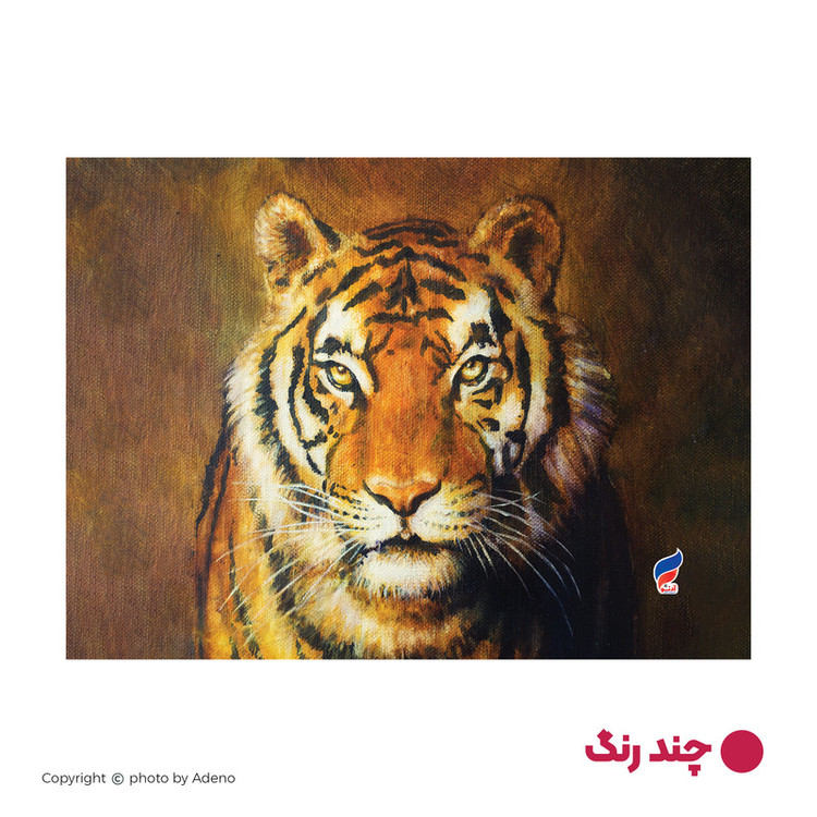 رو بالشی آدنو مدل ببر کد PR56