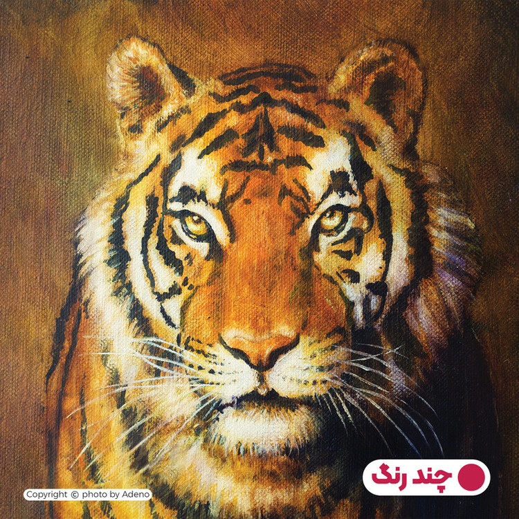 رو بالشی آدنو مدل ببر کد PR56