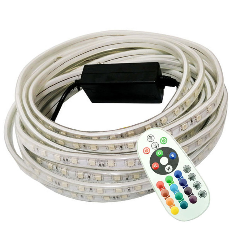 ریسه ال ای دی مدل شلنگی RGB طول 2 متر به همراه ریموت