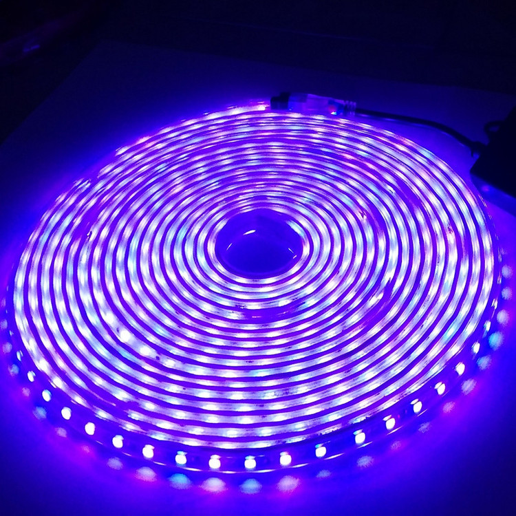 ریسه ال ای دی سی سی پی وای مدل RG08 طول 5 متر