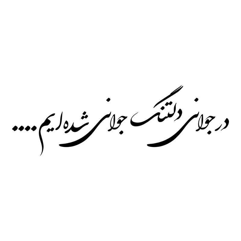 برچسب بدنه خودرو طرح در جوانی دلتنگ جوانی شده ایم کد MT-B390