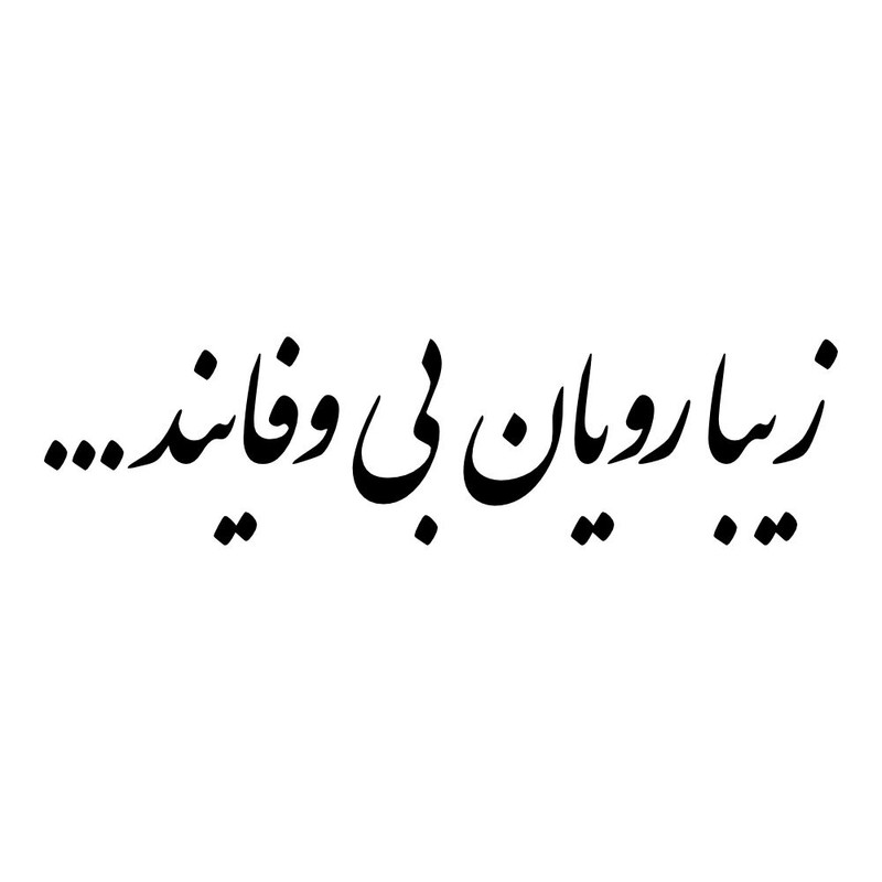 برچسب بدنه خودرو طرح زیبارویان بی وفایند کد MT-B489