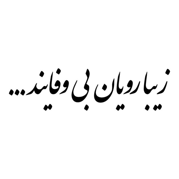 برچسب بدنه خودرو طرح زیبارویان بی وفایند کد MT-B489