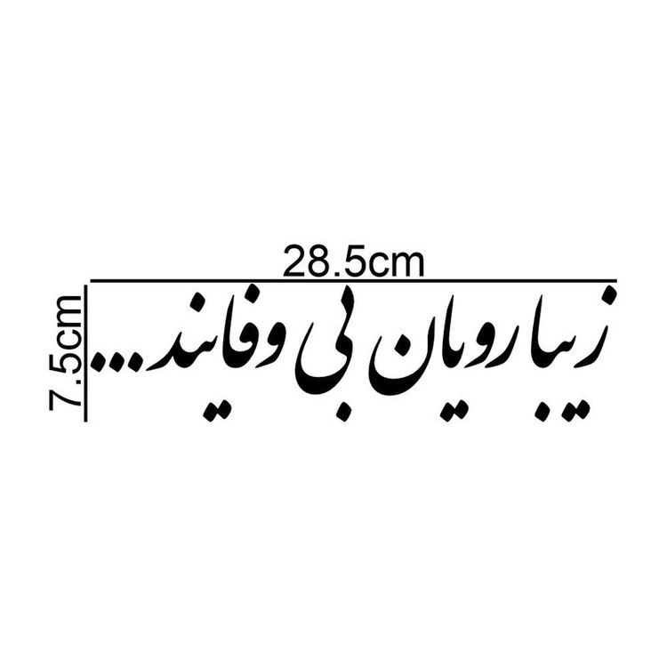 برچسب بدنه خودرو طرح زیبارویان بی وفایند کد MT-B489