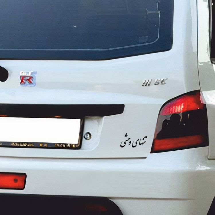 برچسب بدنه خودرو طرح تنهای وحشی کد MT-B449