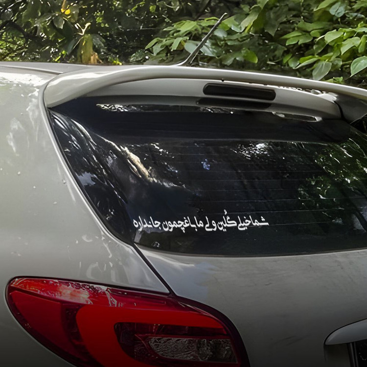 برچسب بدنه خودرو طرح شما خیلی گلین کد S