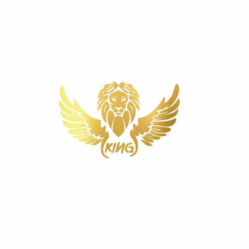 برچسب بدنه خودرو رادیانس طرح kingکد B66