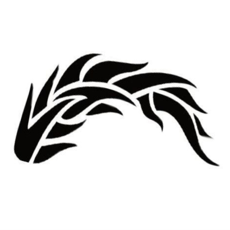 برچسب اینه خودرو استیریت اسپرت طرح کاپوت کد s97