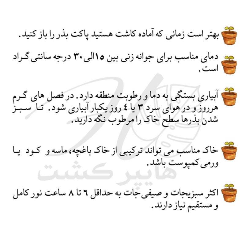 بذر سبزیجات خوراکی گرین سیدز کد 2003 مجموعه 8 عددی