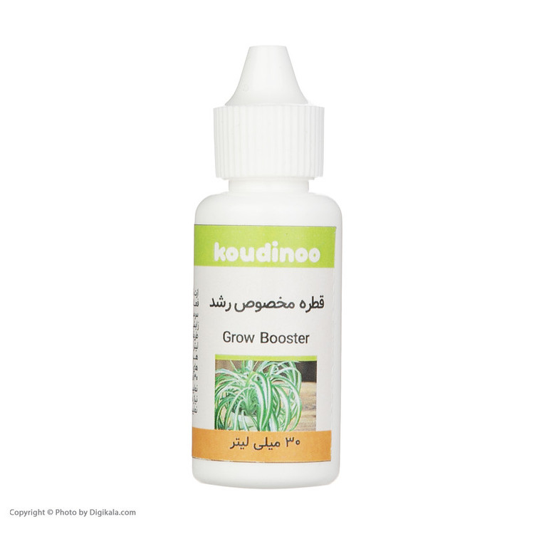 قطره مخصوص رشد گیاهان آپارتمانی کودینو مدل Grow Booster حجم 30 میلی لیتر