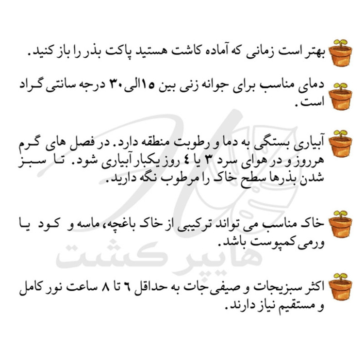 بذر سبزیجات گرین سیدز کد 2005 مجموعه 10 عددی