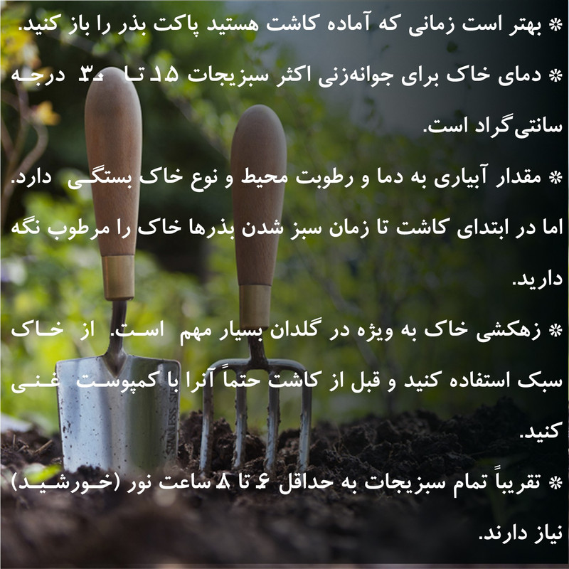 بذر سبزیجات گرین سیدز کد 2005 مجموعه 10 عددی