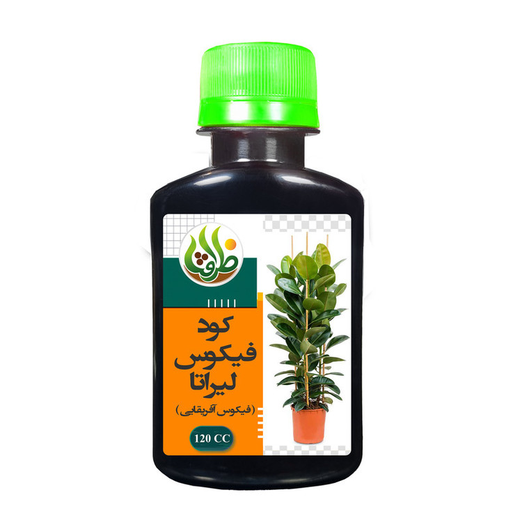 کود مایع فیکوس لیراتا ظرافت مدل KO18912 حجم 120 میلی لیتر