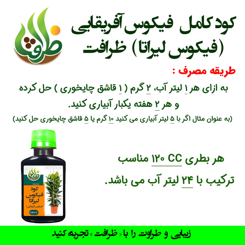 کود مایع فیکوس لیراتا ظرافت مدل KO18912 حجم 120 میلی لیتر