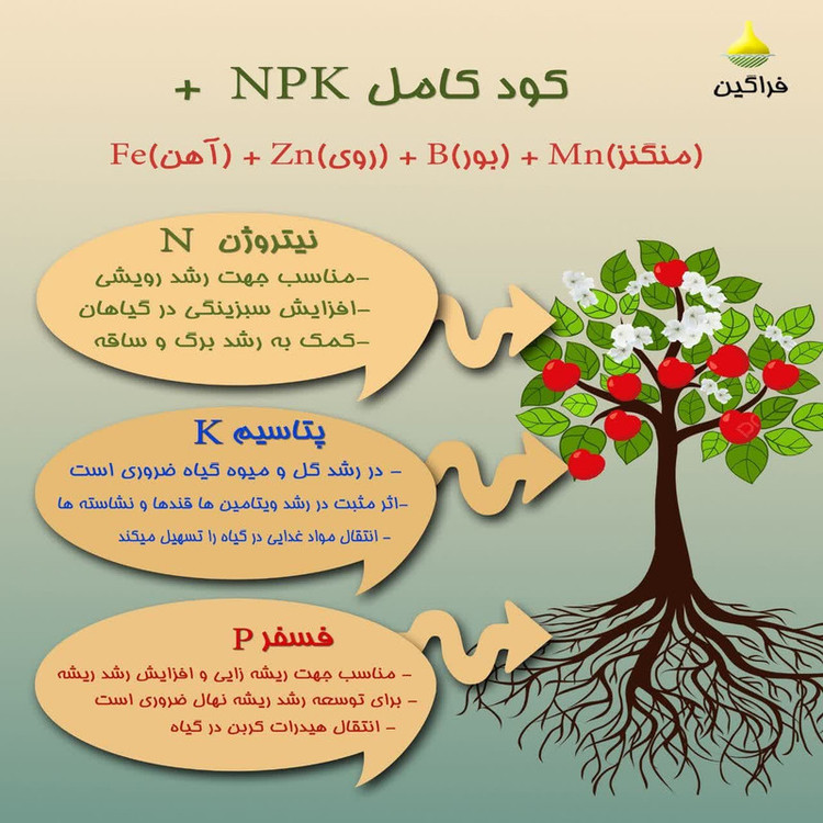کود سه بیست فراگین مدل 20-20-20 وزن 25 گرم