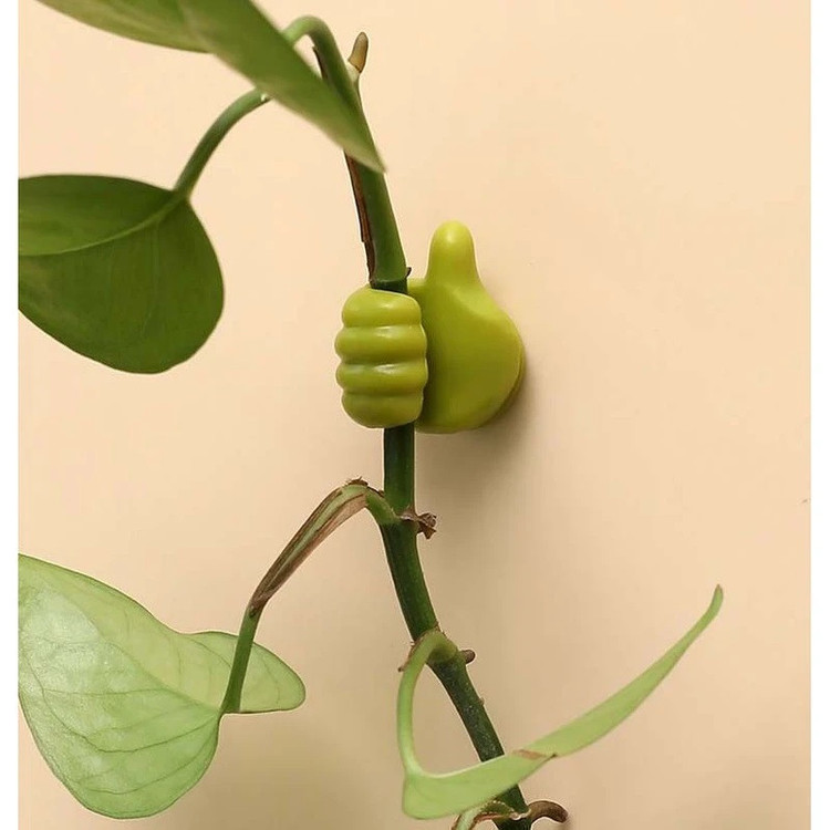 نگهدارنده شاخه طرح دست مجموعه 10 عددی