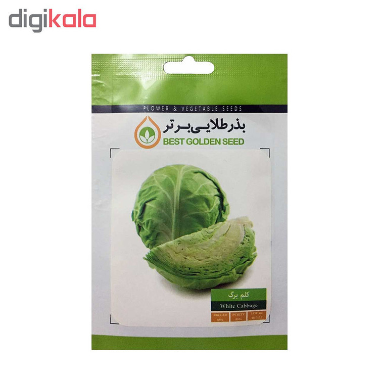 بذر کلم برگ بذر طلایی برتر کد BZT-73