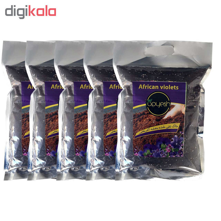خاک بنفشه آفریقایی رویش مدل KHBA-02 کد Pack-21 بسته 5 عددی