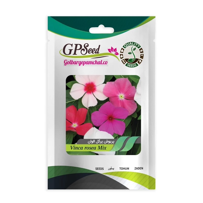 بذر گل پریوش پرگل الوان جی پی سید مدل GP1466