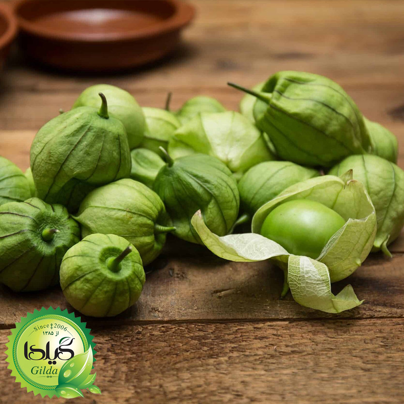 بذر فیسالیس سبز گیلدا کد 610