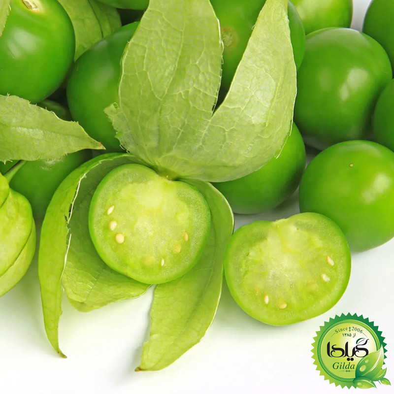 بذر فیسالیس سبز گیلدا کد 610