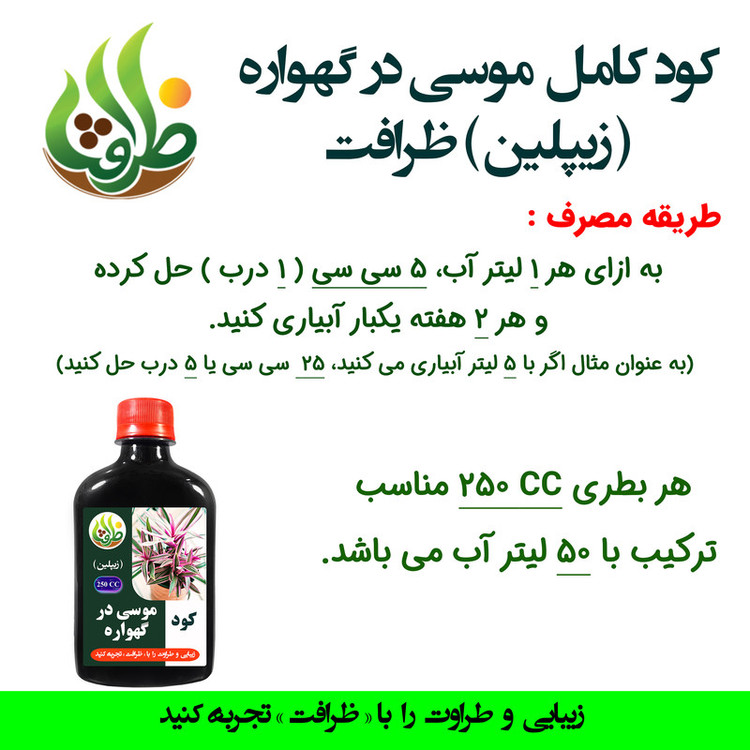 کود موسی در گهواره ظرافت مدل KO18988 حجم 250 سی سی