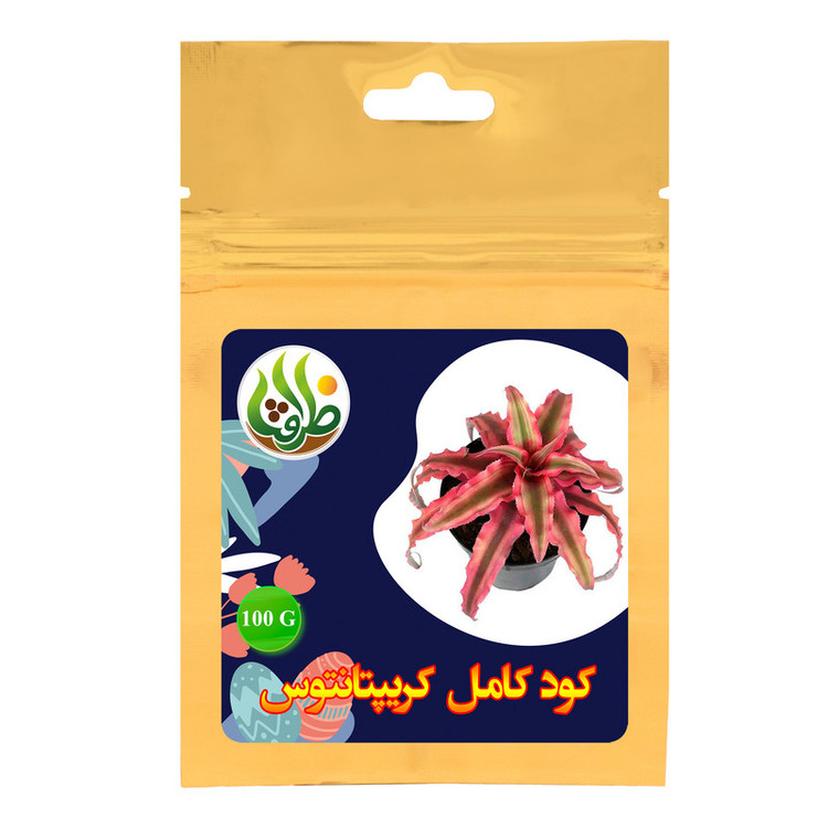 کود کامل تقویتی کریپتانتوس ظرافت مدل KO21727 وزن 100 گرم