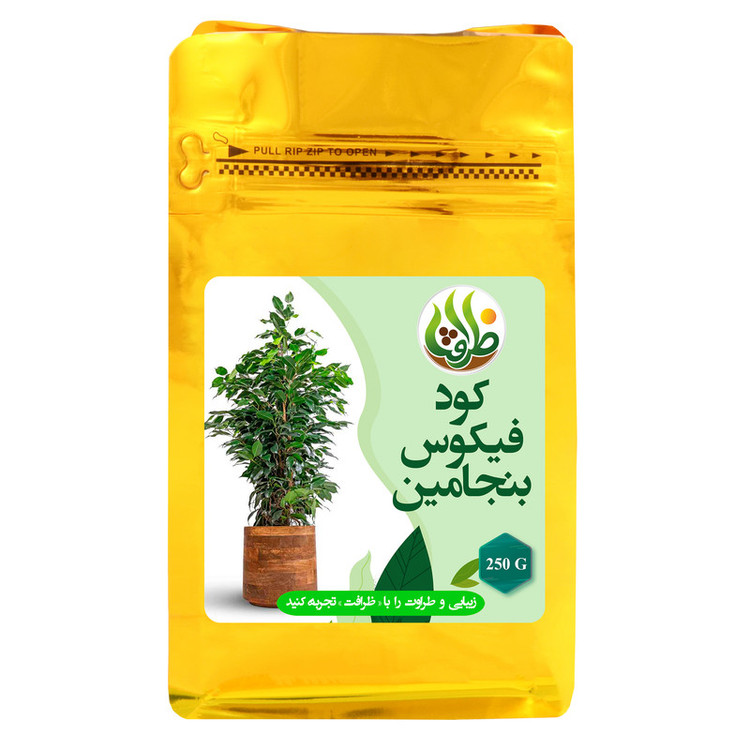 کود کامل فیکوس بنجامین ظرافت مدل KO2714 وزن 250 گرم