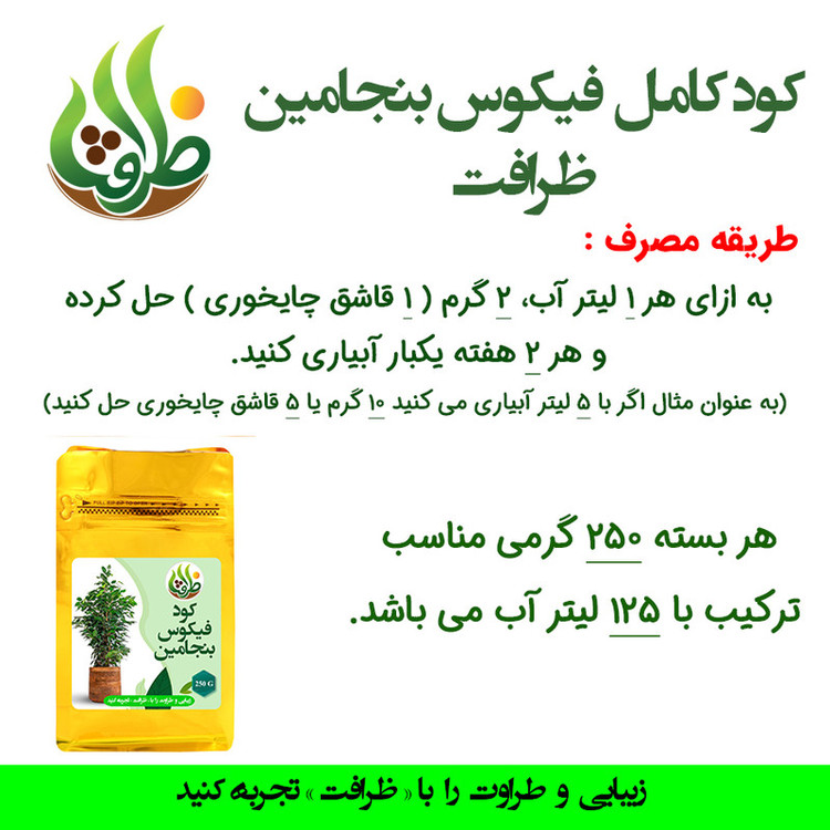 کود کامل فیکوس بنجامین ظرافت مدل KO2714 وزن 250 گرم