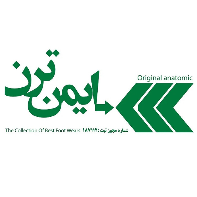 کفش ایمنی ایمن ترن مدل کالچر 26 رنگ مشکی