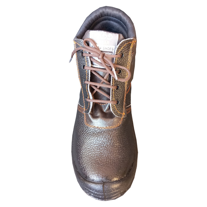 پوتین ایمنی مدل اکونومی