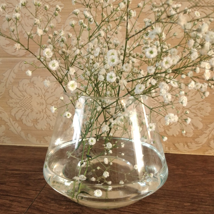 گلدان شیشه ای مدل مینا کد 45