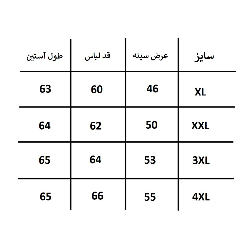 سویشرت ورزشی زنانه بلک دیر مدل 5999s