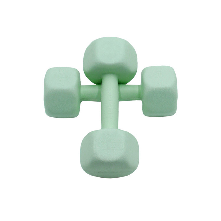 دمبل ایروبیک وزن 2.5 کیلوگرم رادیس فیت مدل RPHF-Fit 2500 بسته دو عددی