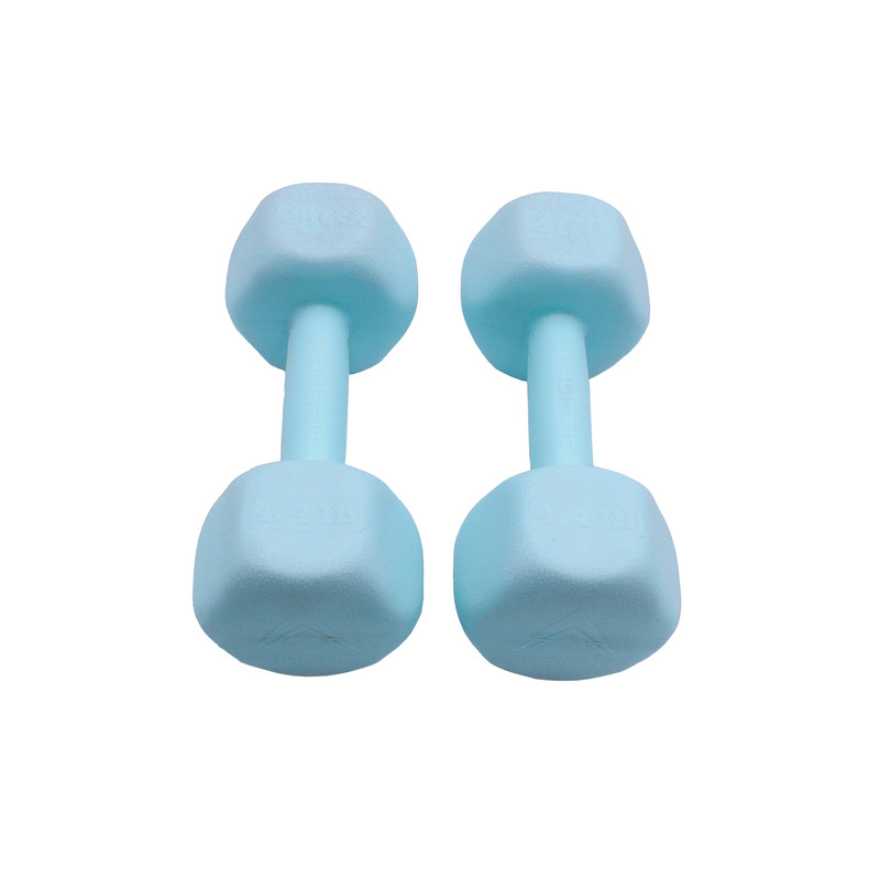 دمبل ایروبیک وزن 2.5 کیلوگرم رادیس فیت مدل RPHF-Fit 2500 بسته دو عددی