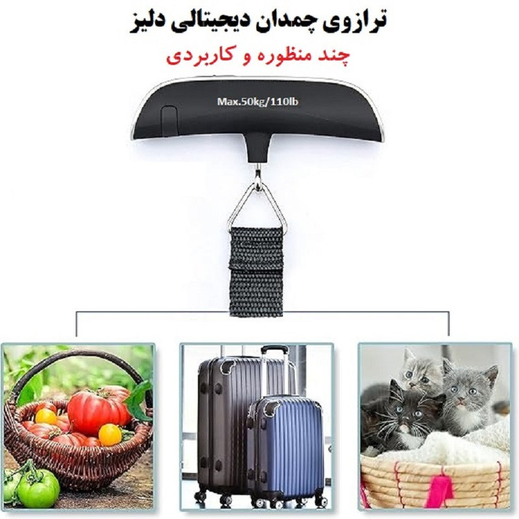 ترازو چمدان مدل دیجیتالی دلیز