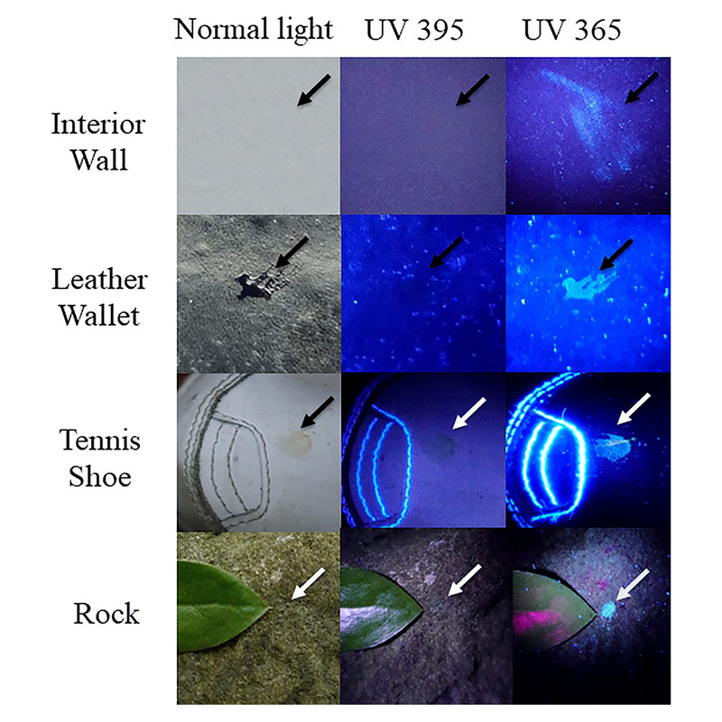 چراغ اسکو مدل UV 365nm
