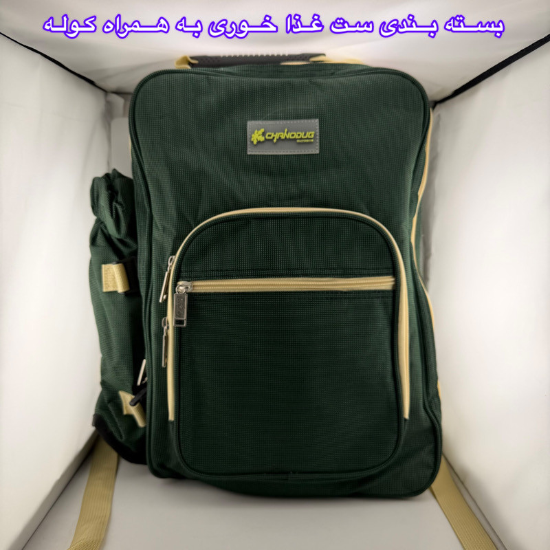 کوله پشتی پیک نیک مدل A0