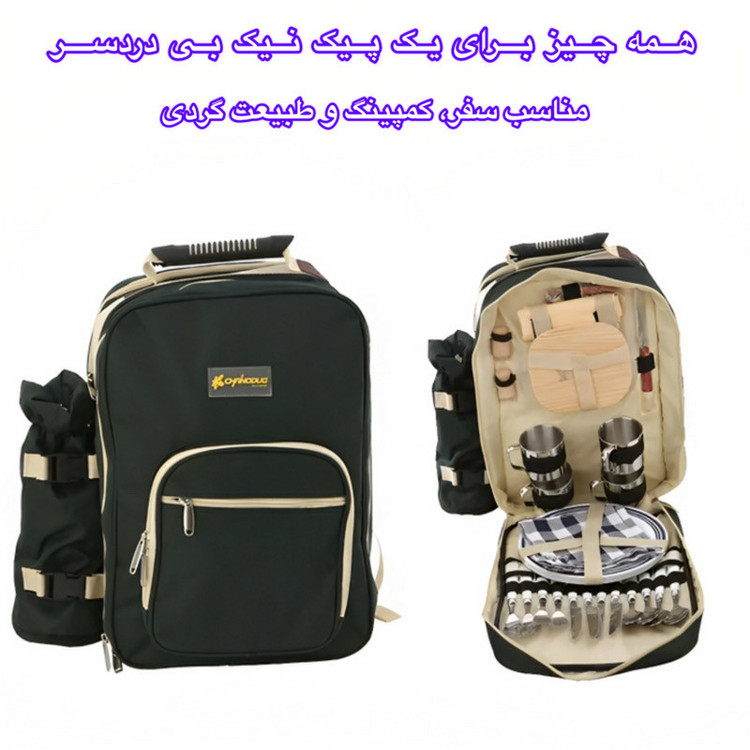 کوله پشتی پیک نیک مدل A0